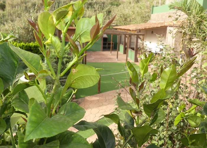 El Brezal Feriehus El Palmital